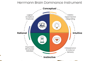 HBDI quadrants